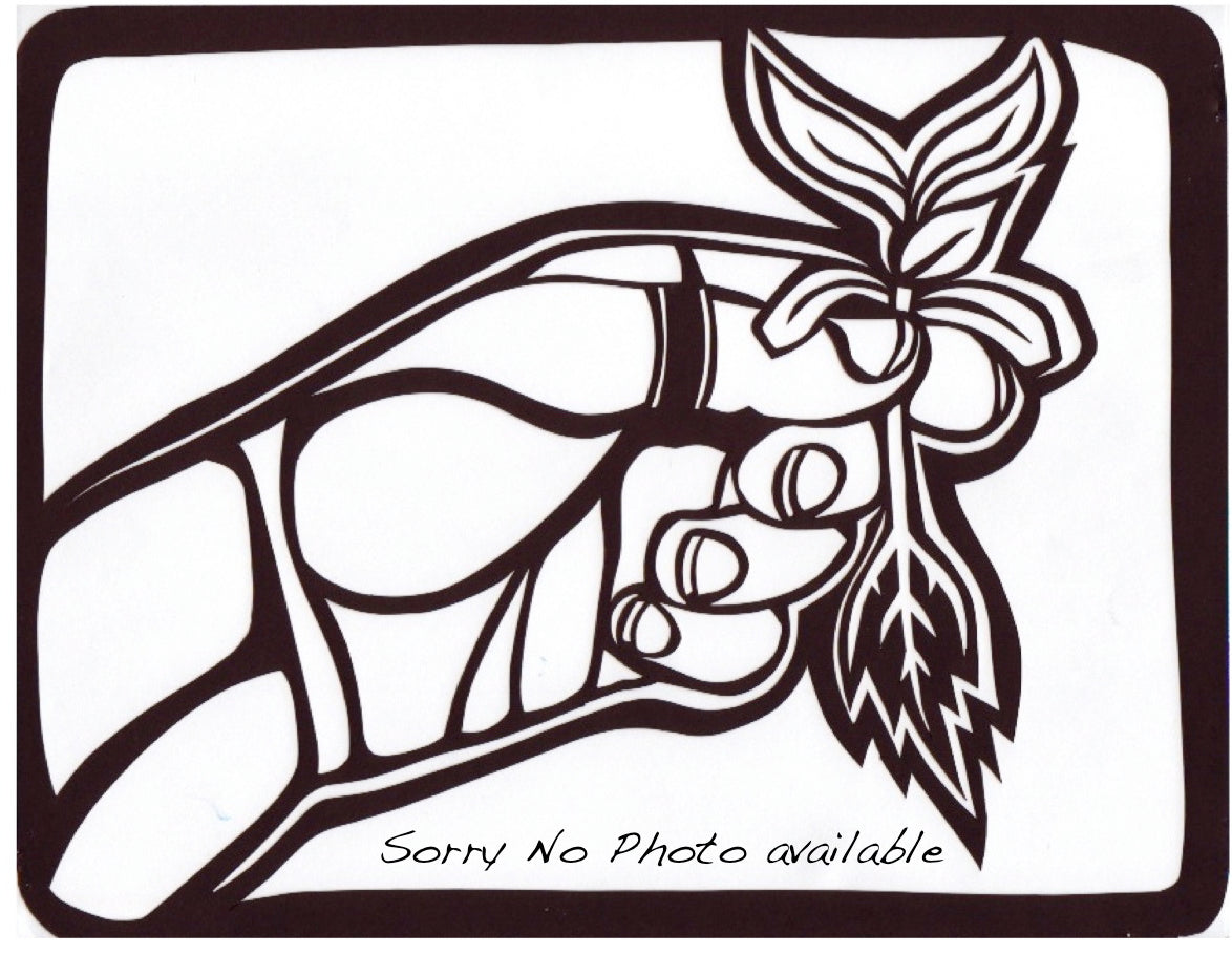 Hydrangea aspera subsp sargentiana (Sargent Hydrangea)